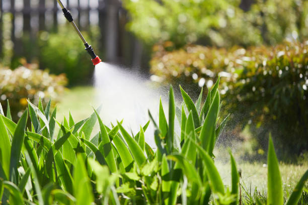 24/7 Emergency Wasp Removal experts in Iraan, TX