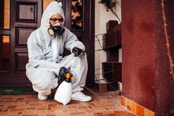 Reliable Wasp Removal contractor in Iraan, TX by Show Me Pest Control